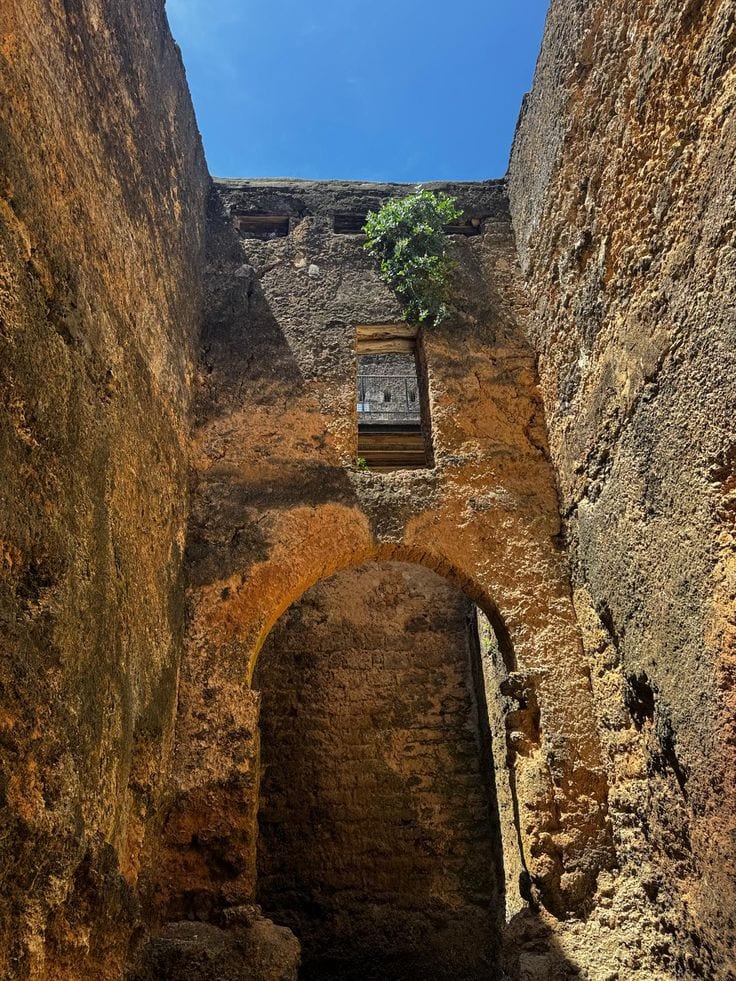 Gede ruins heritage site