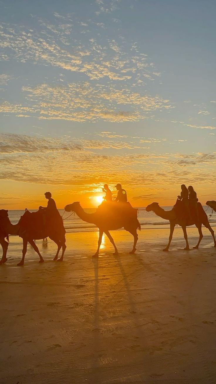 Camel rides on the beach