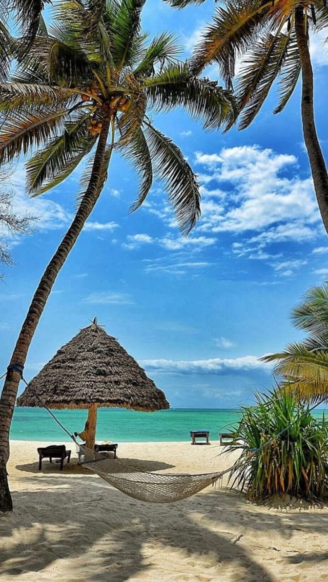 Diani beach relaxation